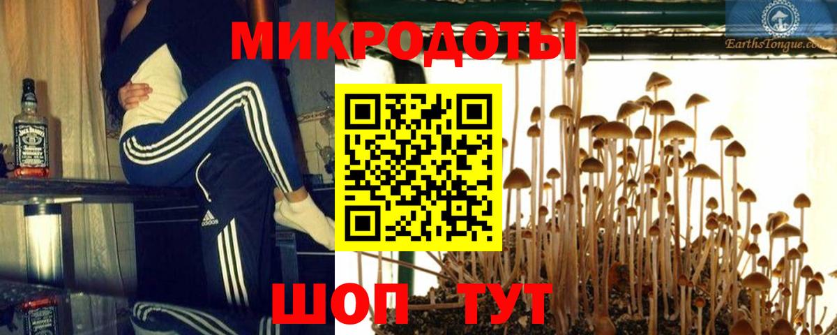 Псилоцибиновые грибы мицелий Гусь-Хрустальный