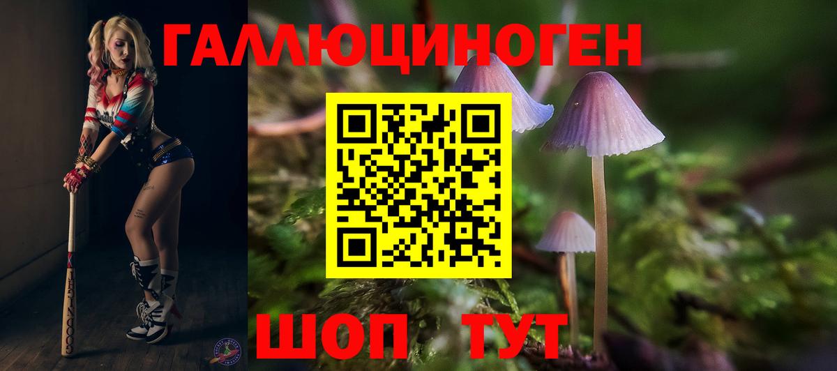 Гусь-Хрустальный  Галлюциногенные грибы Cubensis  Вход с VPN 